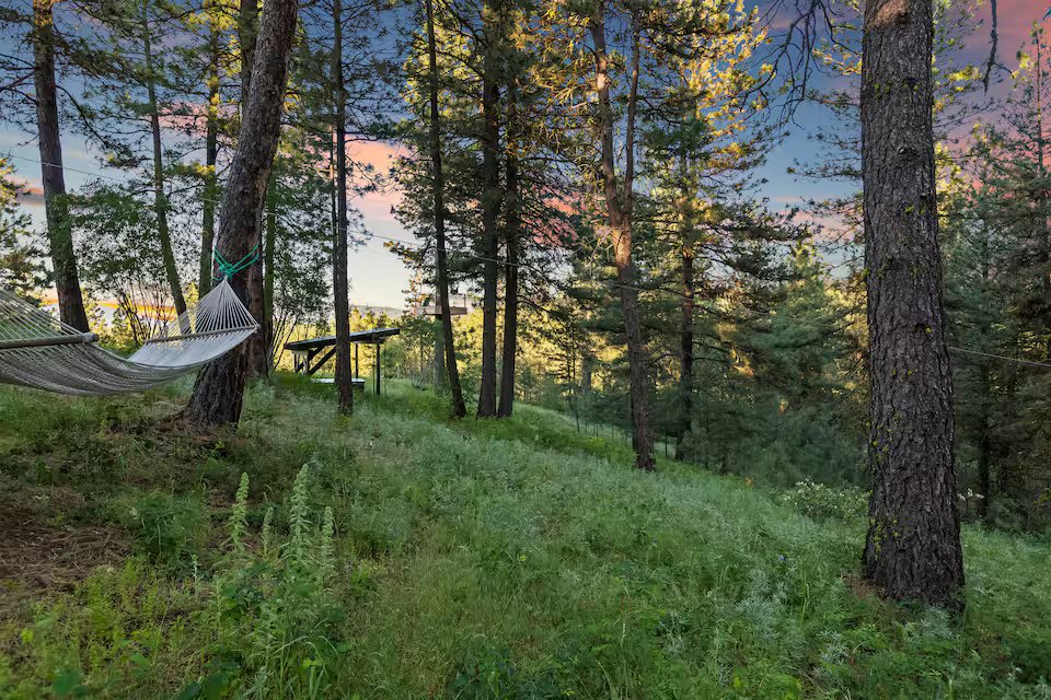 Forest and hammock view of the Banks Treehouse property grounds among Ponderosa pines