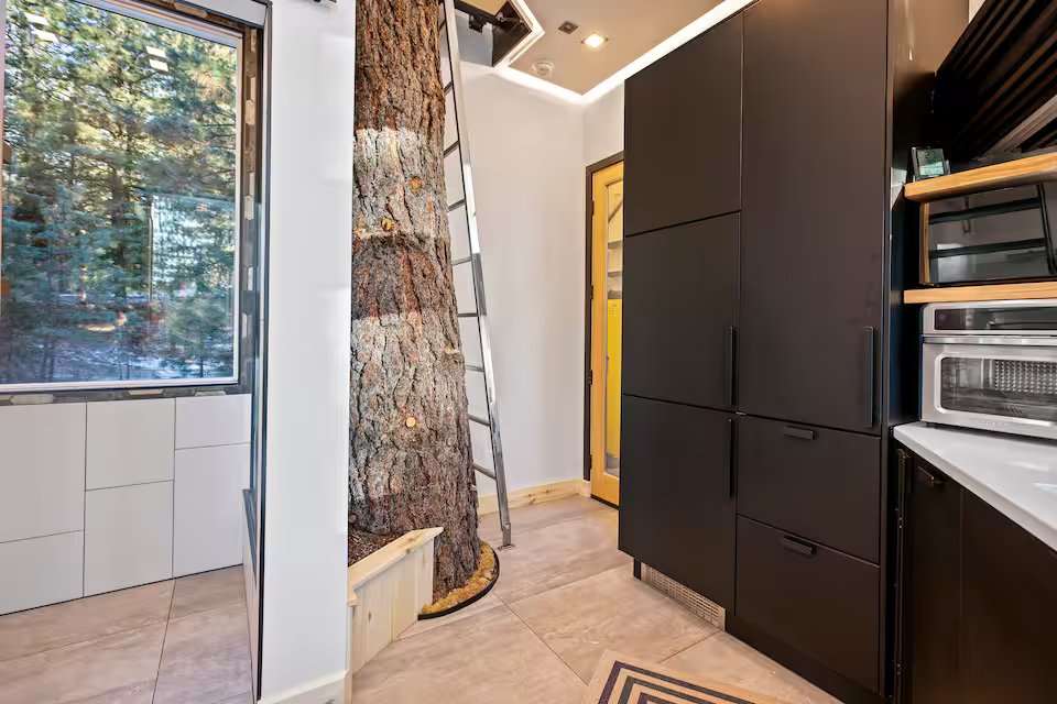 Kitchen showing the tree trunk growing through the floor with handcrafted cabinets